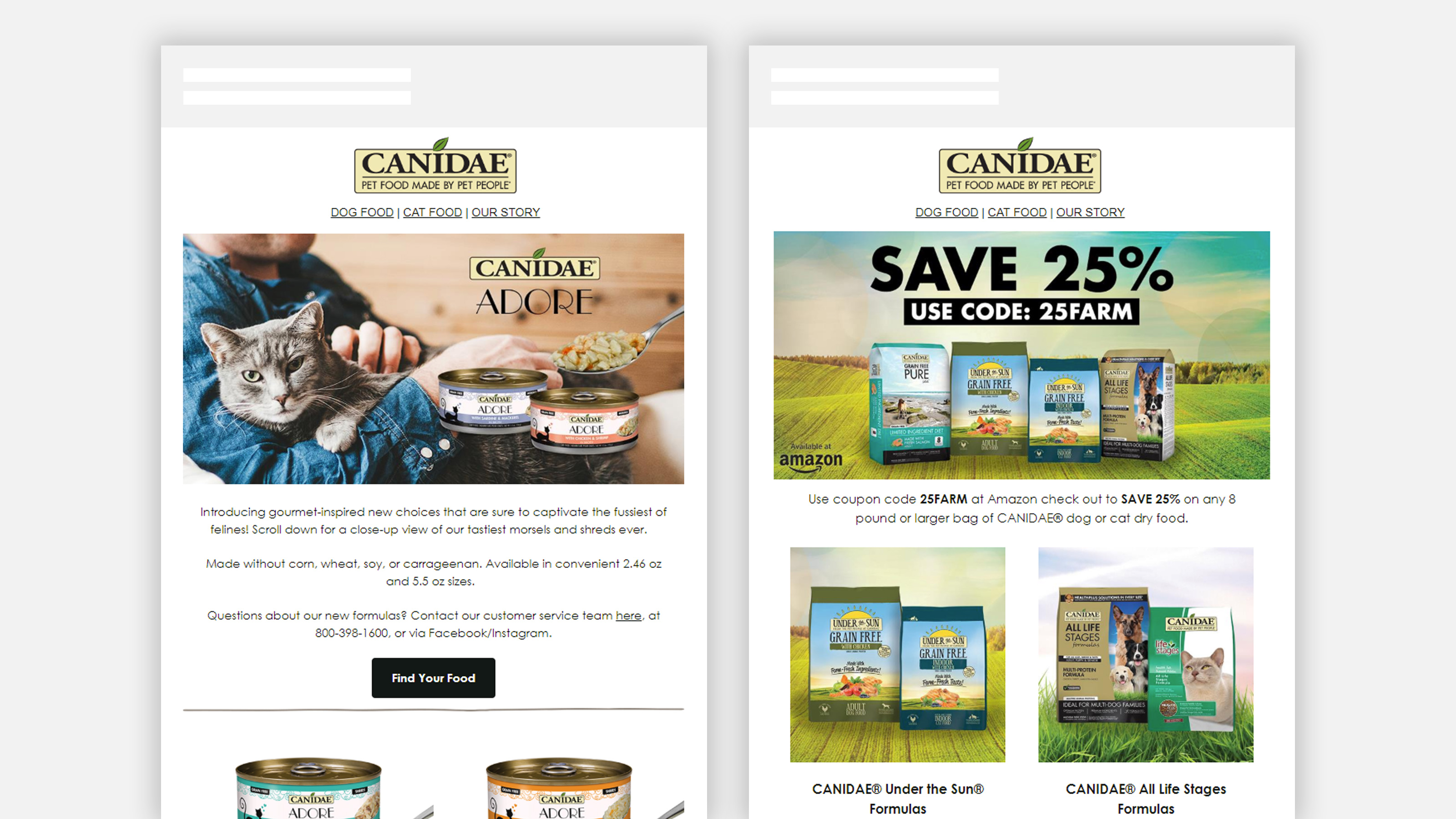CANIDAE cat email layouts on mobile