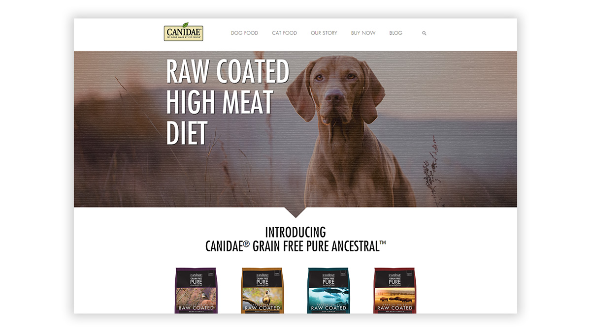 PIE-Portfolio_CAN-Landing-ANS-Ch
