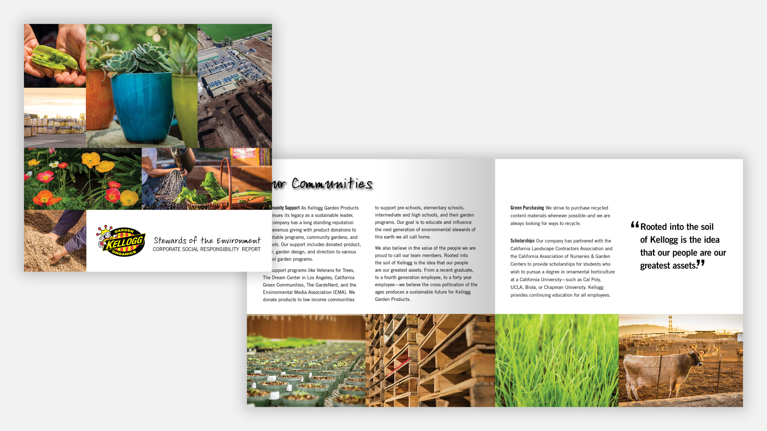 brochure_kellogg_sustainability_report